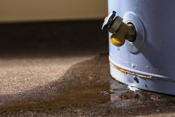 Best Water damage cleanup near me  in Oracle, AZ