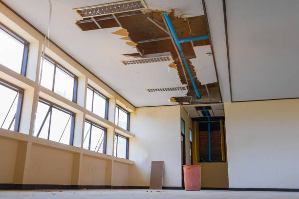 Best Flood restoration services  in Oracle, AZ