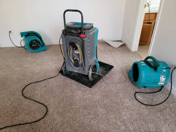 Best Flood damage cleanup  in Oracle, AZ