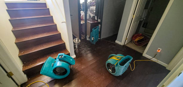 Best Commercial water damage restoration  in Oracle, AZ