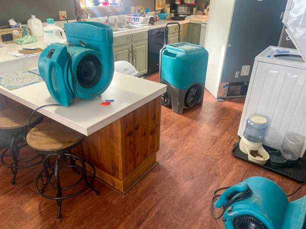 Best Residential water damage restoration  in Oracle, AZ