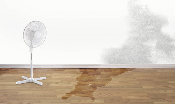 Best 24-hour water damage restoration  in Oracle, AZ