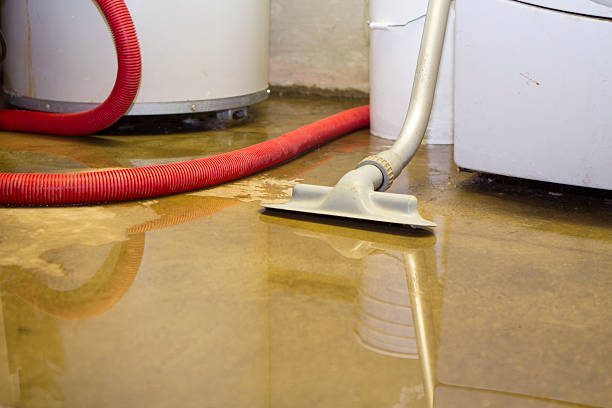 Best Fire Damage Restoration  in Oracle, AZ