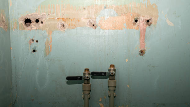 Best Water damage restoration near me  in Oracle, AZ