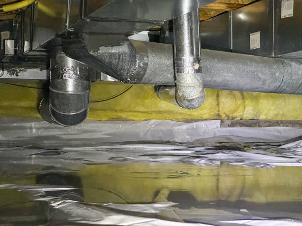 Best Mold removal after water damage  in Oracle, AZ