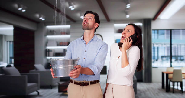 Best 24-hour water damage restoration  in Oracle, AZ